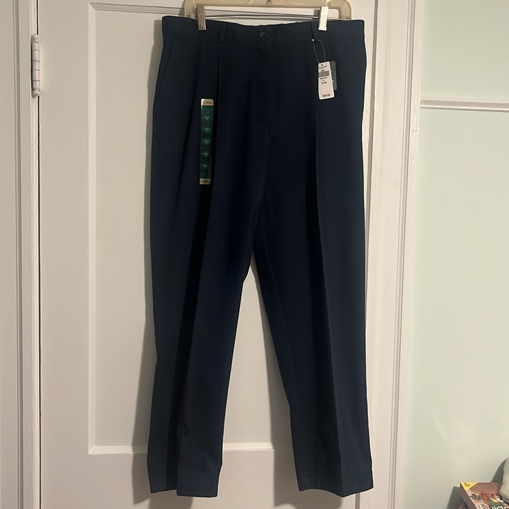 L.L. Bean pleated cotton pants, elastic waist, back only - Picture 4 of 5